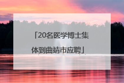 20名医学博士集体到曲靖市应聘