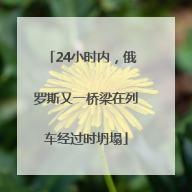 24小时内，俄罗斯又一桥梁在列车经过时坍塌