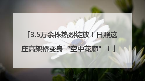 3.5万余株热烈绽放！日照这座高架桥变身“空中花廊”！