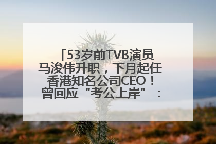 53岁前TVB演员马浚伟升职，下月起任香港知名公司CEO！曾回应“考公上岸”：真不是公务员