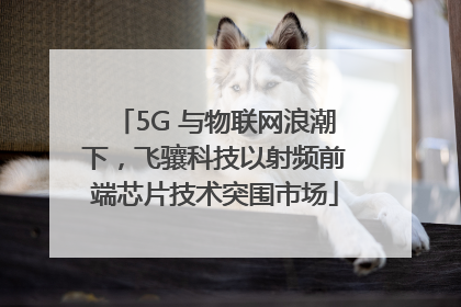 5G 与物联网浪潮下，飞骧科技以射频前端芯片技术突围市场