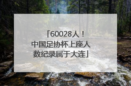 60028人！中国足协杯上座人数纪录属于大连