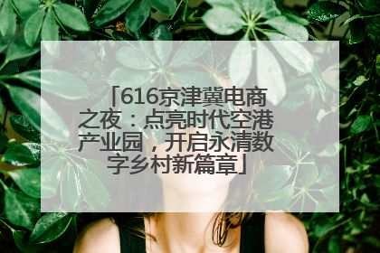 616京津冀电商之夜：点亮时代空港产业园，开启永清数字乡村新篇章