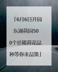 6月6日开园 东湖荷园500个珍稀荷花品种等你来品鉴