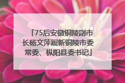 75后安徽铜陵副市长杨文萍履新铜陵市委常委、枞阳县委书记