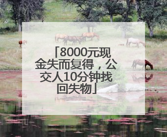8000元现金失而复得，公交人10分钟找回失物