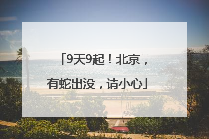 9天9起！北京，有蛇出没，请小心