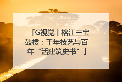 G视觉丨榕江三宝鼓楼：千年技艺与百年“活建筑史书”