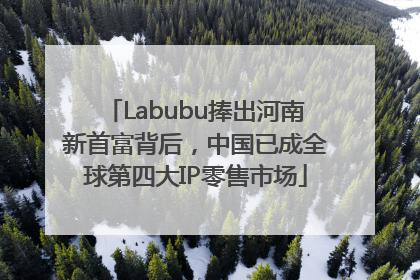 Labubu捧出河南新首富背后，中国已成全球第四大IP零售市场